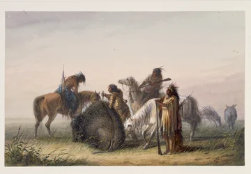 Suministrando Carne de Búfalo al Campamento